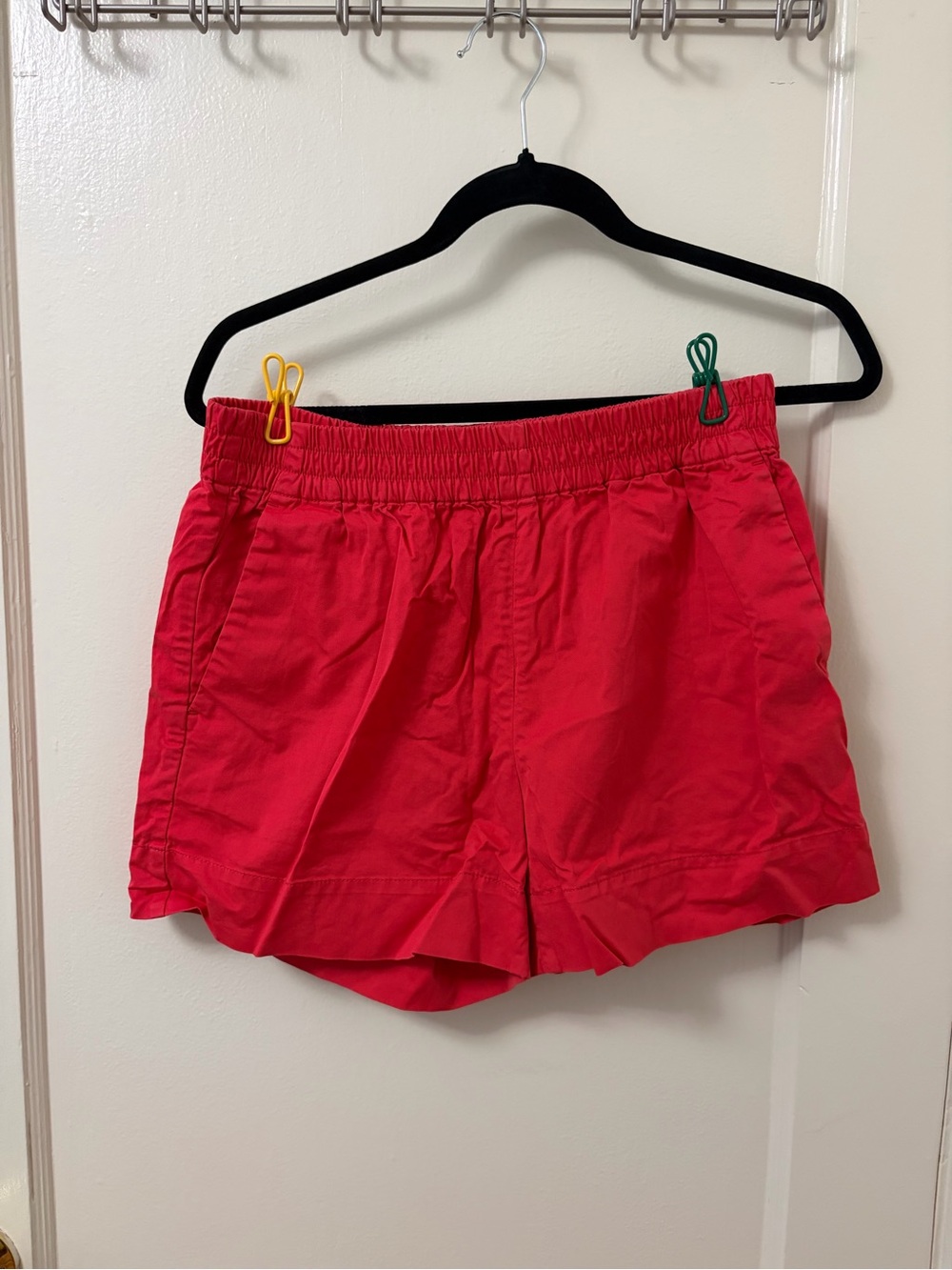Everlane shorts